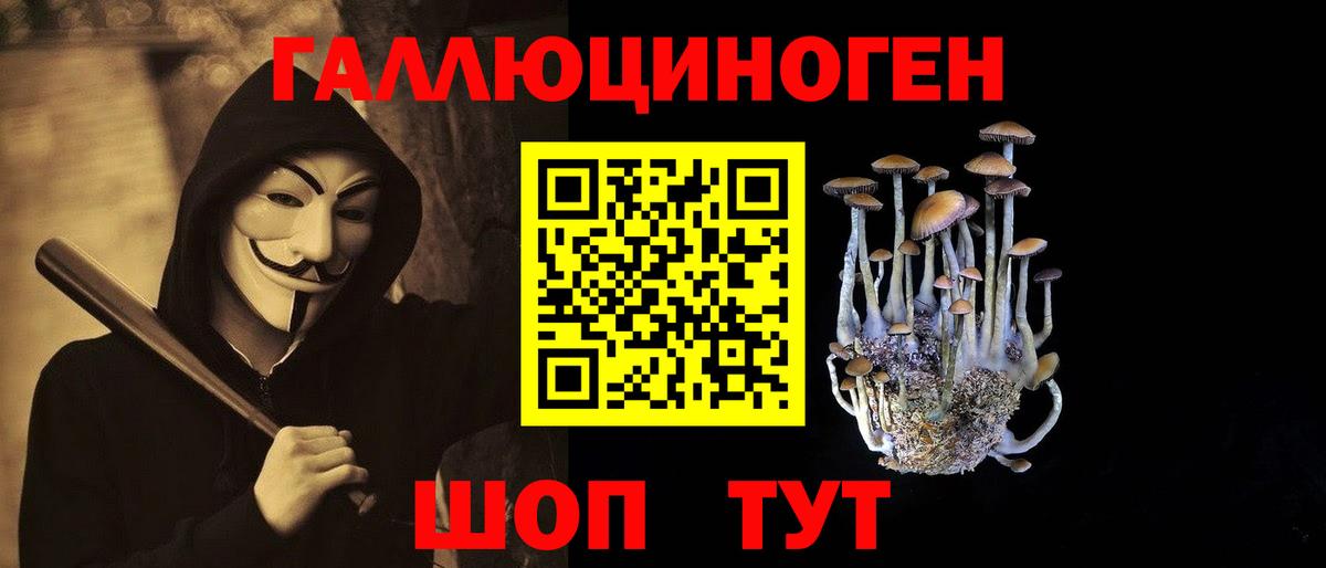 Галлюциногенные грибы Psilocybine cubensis  Вход с VPN  Гатчина 